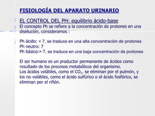 EL CONTROL DEL PH: equilibrio ácido-base
El concepto Ph se refiere a la concentración de protones en una
disolución, consideramos :
Ph ácido: < 7, se traduce en una alta concentración de protones
Ph neutro: 7
Ph básico:> 7, se traduce en una baja concentración de protones
El ser humano es un productor permanente de ácidos como
resultado de los procesos metabólicos del organismo.
Los ácidos volátiles, como el CO₂, se eliminan por el pulmón, y
los no volátiles, como el ácido sulfúrico o el ácido fosfórico, se
eliminan por el riñón.
FISIOLOGÍA DEL APARATO URINARIO
 