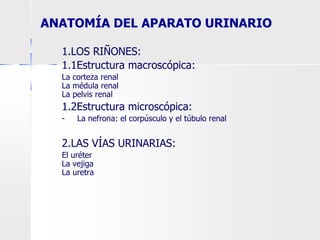 ANATOMÍA DEL APARATO URINARIO
1.LOS RIÑONES:
1.1Estructura macroscópica:
● La corteza renal
● La médula renal
● La pelvis renal
1.2Estructura microscópica:
- La nefrona: el corpúsculo y el túbulo renal
2.LAS VÍAS URINARIAS:
● El uréter
● La vejiga
● La uretra
 