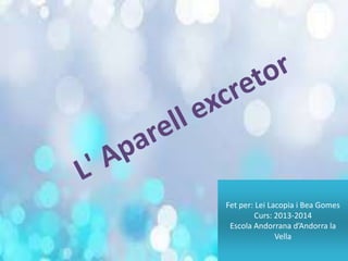 Fet per: Lei Lacopia i Bea Gomes
Curs: 2013-2014
Escola Andorrana d’Andorra la
Vella

 