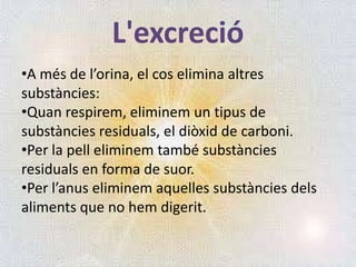 L'excreció
•A més de l’orina, el cos elimina altres
substàncies:
•Quan respirem, eliminem un tipus de
substàncies residuals, el diòxid de carboni.
•Per la pell eliminem també substàncies
residuals en forma de suor.
•Per l’anus eliminem aquelles substàncies dels
aliments que no hem digerit.

 