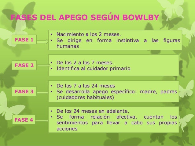 Resultado de imagen para fases del apego
