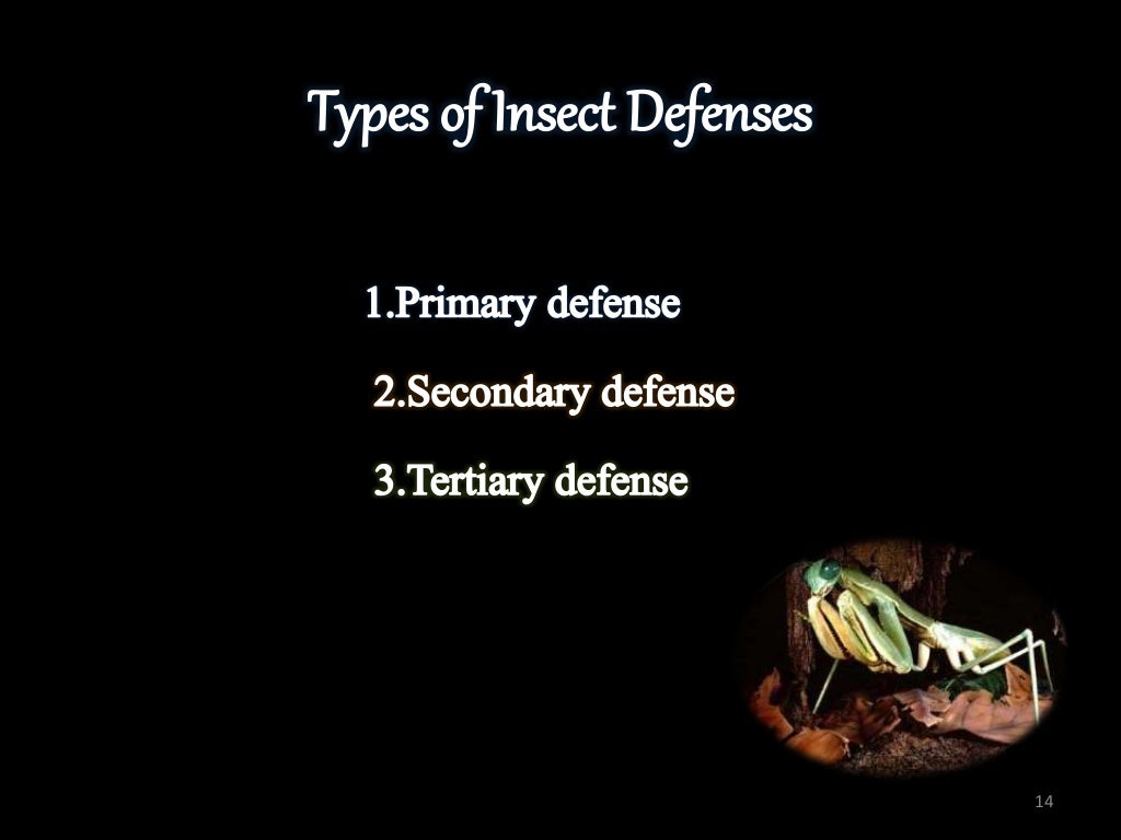 INSECT DEFENSE MECHANISM
