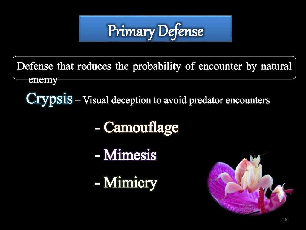 INSECT DEFENSE MECHANISM