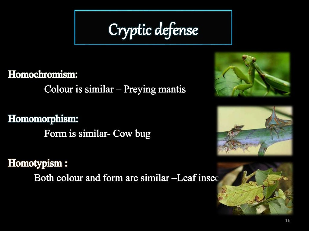 INSECT DEFENSE MECHANISM