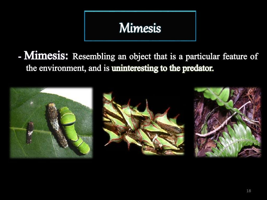 INSECT DEFENSE MECHANISM