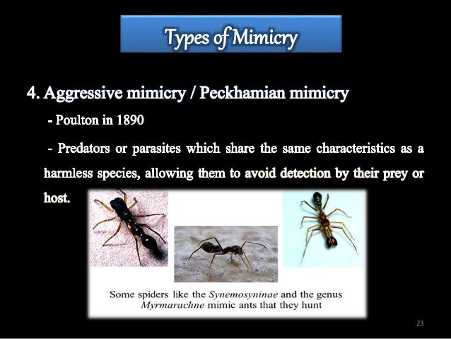 INSECT DEFENSE MECHANISM