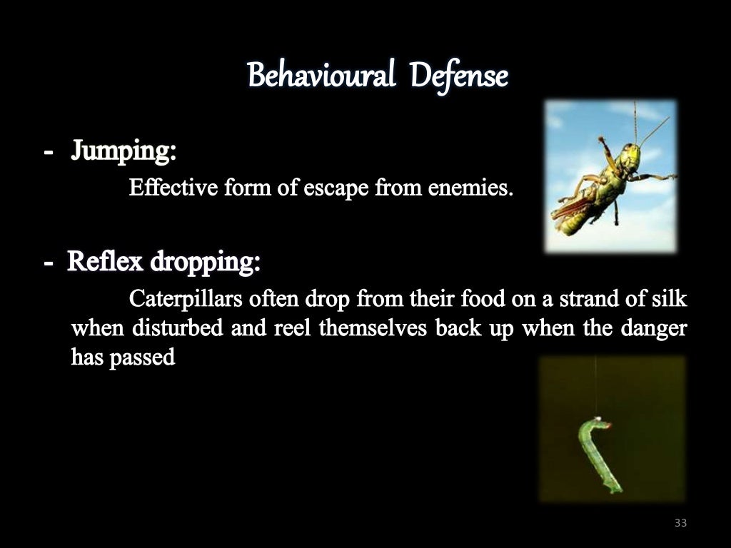 INSECT DEFENSE MECHANISM