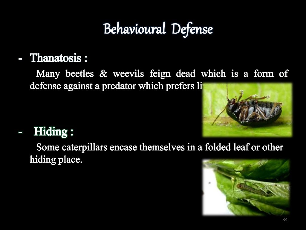 INSECT DEFENSE MECHANISM