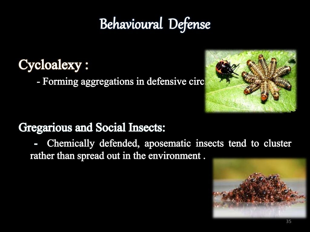 INSECT DEFENSE MECHANISM