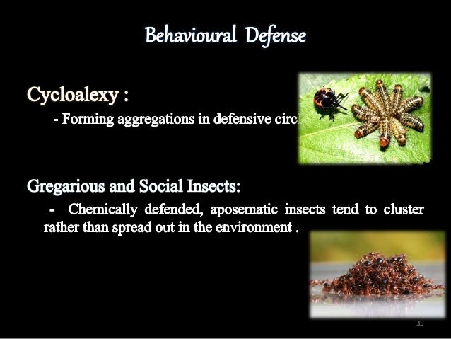 INSECT DEFENSE MECHANISM