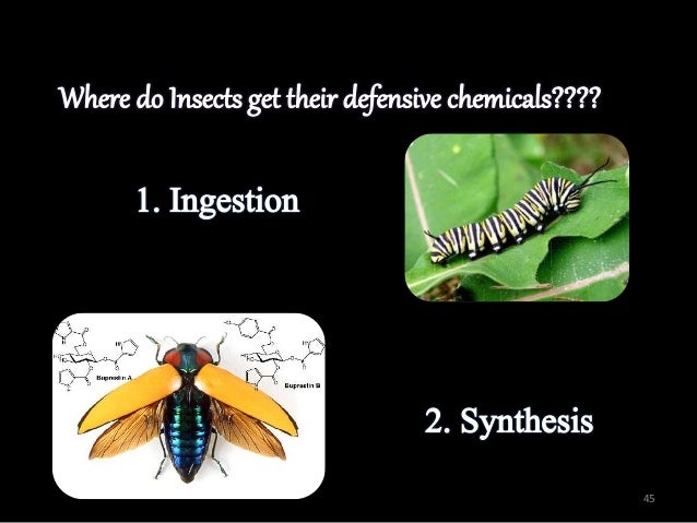 INSECT DEFENSE MECHANISM