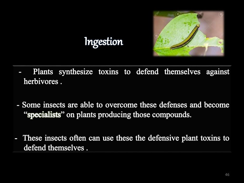 INSECT DEFENSE MECHANISM