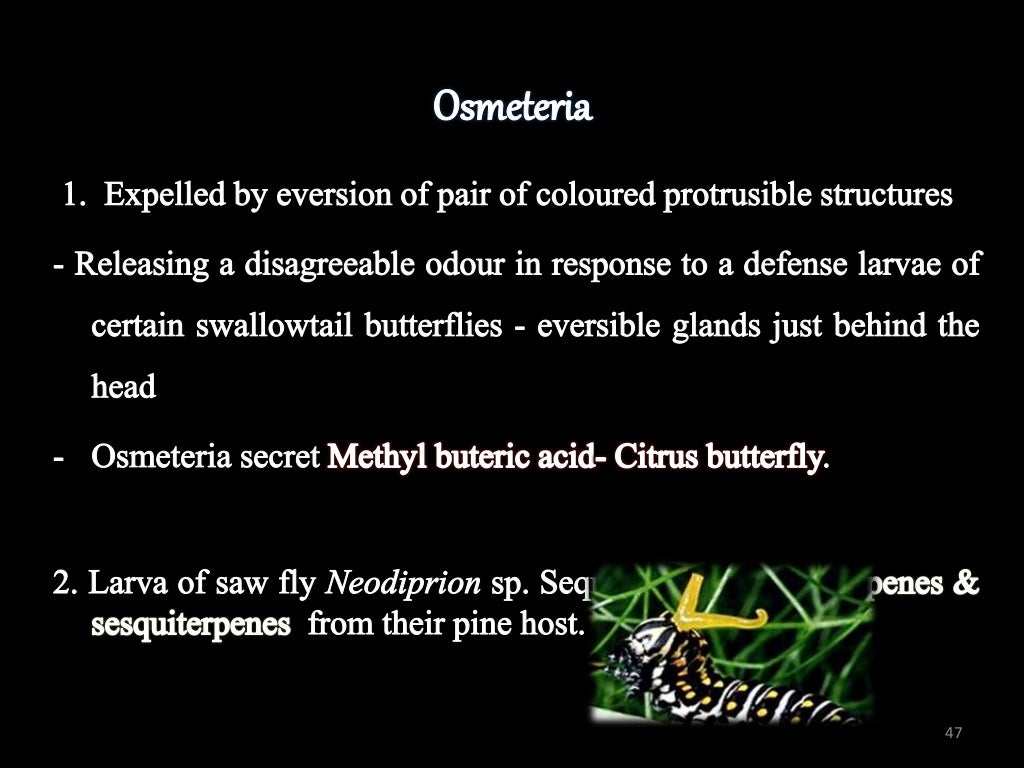 INSECT DEFENSE MECHANISM