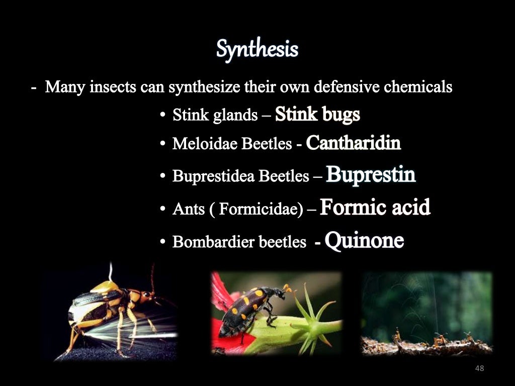 INSECT DEFENSE MECHANISM