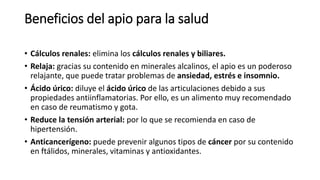 Beneficios del apio para la salud
• Cálculos renales: elimina los cálculos renales y biliares.
• Relaja: gracias su contenido en minerales alcalinos, el apio es un poderoso
relajante, que puede tratar problemas de ansiedad, estrés e insomnio.
• Ácido úrico: diluye el ácido úrico de las articulaciones debido a sus
propiedades antiinflamatorias. Por ello, es un alimento muy recomendado
en caso de reumatismo y gota.
• Reduce la tensión arterial: por lo que se recomienda en caso de
hipertensión.
• Anticancerígeno: puede prevenir algunos tipos de cáncer por su contenido
en ftálidos, minerales, vitaminas y antioxidantes.
 