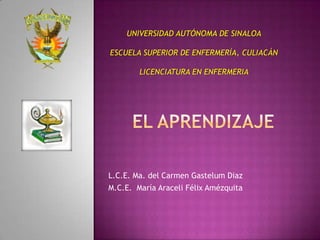 UNIVERSIDAD AUTÓNOMA DE SINALOA

ESCUELA SUPERIOR DE ENFERMERÍA, CULIACÁN

        LICENCIATURA EN ENFERMERIA




L.C.E. Ma. del Carmen Gastelum Diaz
M.C.E. María Araceli Félix Amézquita
 