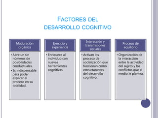 FACTORES DEL
DESARROLLO COGNITIVO
Maduración
orgánica
• Abre un sin
números de
posibilidades
conductuales.
• Es indispensable
para poder
explicar el
proceso en su
totalidad.
Ejercicio y
experiencia
• Enriquece al
individuo con
nuevas
herramientas
cognitivas.
Interacción y
transmisiones
sociales
• Activan los
proceso de
socialización que
funcionan como
estructurantes
del desarrollo
cognitivo.
Proceso de
equilibrio
• Organización de
la interacción
entre la actividad
del sujeto y los
conflictos que el
medio le plantea.
 