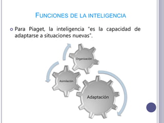 FUNCIONES DE LA INTELIGENCIA
 Para Piaget, la inteligencia “es la capacidad de
adaptarse a situaciones nuevas”.
Adaptación
Asimilación
Organización
 