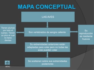 MAPA CONCEPTUAL
                                 LAS AVES



Tienen plumas
  por todo el                                                     Su
cuerpo. Tienen       Son vertebrados de sangre caliente
                                                             reproducción
un pico el cual                                               es mediante
   no tiene
                                                                huevos
    dientes

                      Su extremidades anteriores están
                    adaptadas para volar pero no todas las
                             aves pueden volar



                    Se sostienen sobre sus extremidades
                                posteriores
    MENÚ
 