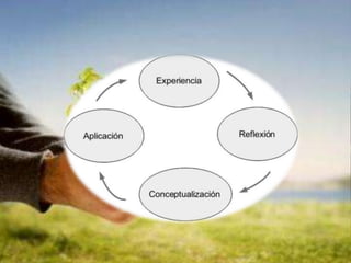 El aprendizaje yolanda stonestreet