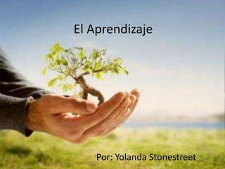 El Aprendizaje Por: Yolanda Stonestreet 