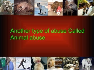 Another type of abuse Called Animal abuse 