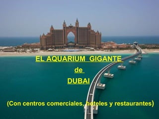 EL AQUARIUM  GIGANTE   de  DUBAI   (Con centros comerciales, hoteles y restaurantes ) 