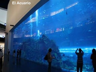 El Acuario 