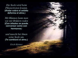 Die Seele wird beim Pflastertreten krumm. (Andar sobre el asfalto deforma el alma.) Mit Bäumen kann man wie mit Brüdern reden (Con árboles se puede conversar como con hermanos ) und tauscht bei ihnen seine Seele um. (Te cambiará el alma.) Erich Kästner 