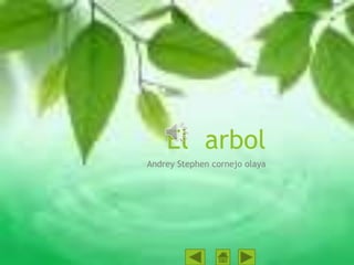 El arbol 
Andrey Stephen cornejo olaya 
 