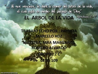 EL ARBOL DE LA VIDA

TRABAJO ECHO POR : PATRICIA
      MARCELO HDZ
 MAESTRA: MRA MARGARITA
    ROMERO ALVARDO
       GRUPO : 2 C
         CETIS 109
 