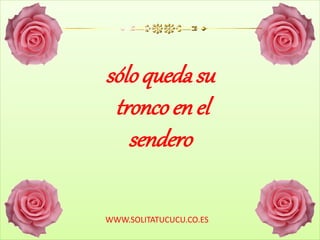 sólo quedasu
tronco en el
sendero
WWW.SOLITATUCUCU.CO.ES
 