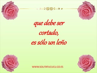 que debe ser
cortado,
es sólo un leño
WWW.SOLITATUCUCU.CO.ES
 