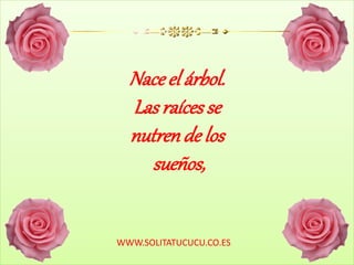 Naceel árbol.
Las raícesse
nutrende los
sueños,
WWW.SOLITATUCUCU.CO.ES
 