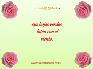 sus hojasverdes
latenconel
viento,
WWW.SOLITATUCUCU.CO.ES
 