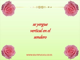 se yergue
vertical en el
sendero
WWW.SOLITATUCUCU.CO.ES
 