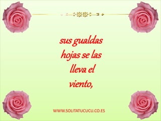 sus gualdas
hojasse las
lleva el
viento,
WWW.SOLITATUCUCU.CO.ES
 