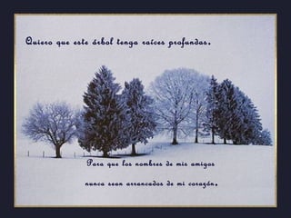 Quiero que este árbol tenga raíces profundas . Para que los nombres de mis amigos  nunca sean arrancados de mi corazón . 