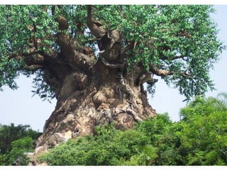 El arbol de noe