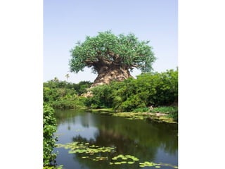 El arbol de noe