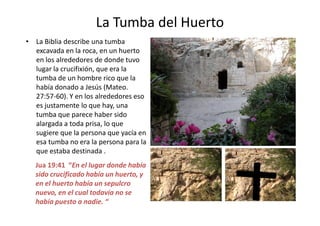 La Tumba del Huerto
• La Biblia describe una tumba
excavada en la roca, en un huerto
en los alrededores de donde tuvo
lugar la crucifixión, que era la
tumba de un hombre rico que la
había donado a Jesús (Mateo.
27:57-60). Y en los alrededores eso
es justamente lo que hay, una
tumba que parece haber sido
Jua 19:41 “En el lugar donde había
sido crucificado había un huerto, y
en el huerto había un sepulcro
nuevo, en el cual todavía no se
había puesto a nadie. “
28
tumba que parece haber sido
alargada a toda prisa, lo que
sugiere que la persona que yacía en
esa tumba no era la persona para la
que estaba destinada .
 