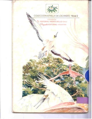 El archipiélago de las puntadas