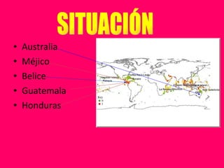 Australia  Méjico  Belice Guatemala Honduras SITUACIÓN 