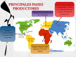 PRINCIPALES PAISES PRODUCTORES<br />China, India, Indonesia, Bangladesh, Vietnam, Tailandia, Birmania y Japón (Principales...