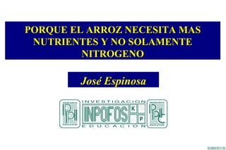 PORQUE EL ARROZ NECESITA MAS
 NUTRIENTES Y NO SOLAMENTE
         NITROGENO

        José Espinosa
 