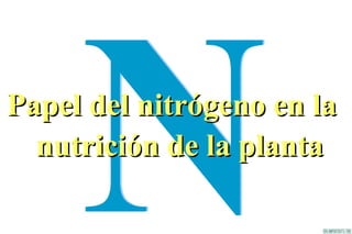 SINTOMAS DE DEFICIENCIA DE
       NITROGENO

• En general clorosis de hojas bajeras

• Nutriente móvil dentro de la planta
 