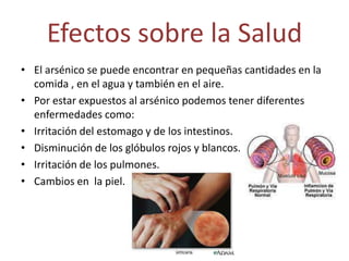 Efectos sobre la SaludEl arsénico se puede encontrar en pequeñas cantidades en la comida , en el agua y también en el aire. Por estar expuestos al arsénico podemos tener diferentes enfermedades como:Irritación del estomago y de los intestinos. Disminución de los glóbulos rojos y blancos.Irritación de los pulmones.Cambios en  la piel.