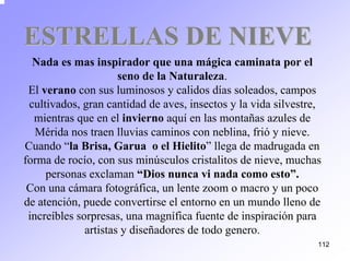 112 
ESTRELLAS DE NIEVE 
Nada es mas inspirador que una mágica caminata por el seno de la Naturaleza. El veranocon sus luminosos y calidos días soleados, campos cultivados, gran cantidad de aves, insectos y la vida silvestre, mientras que en el inviernoaquíen las montañas azules de Mérida nos traen lluvias caminos con neblina, frióy nieve. Cuando “la Brisa, Garuao el Hielito”llega de madrugada en forma de rocío, con sus minúsculos cristalitos de nieve, muchas personas exclaman “Dios nunca vi nada como esto”. Con una cámara fotográfica, un lente zoom o macro y un poco de atención, puede convertirse el entorno en un mundo lleno de increíbles sorpresas, una magnífica fuente de inspiración para artistas y diseñadores de todo genero.  