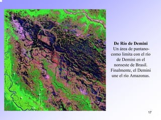 17 
De Río de DeminiUn área de pantano- como limita con el río de Deminien el noroeste de Brasil. Finalmente, el Deminiune el río Amazonas.  