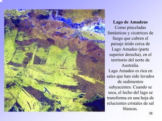 38 
Lago de Amadeus Como pinceladas fantásticas y cicatrices de fuego que cubren el paisaje árido cerca de Lago Amadeo (parte superior derecha), en el territorio del norte de Australia. Lago Amadeo es rica en sales que han sido lavados de sedimentos subyacentes. Cuando se seca, el lecho del lago se transforma en una hoja de relucientes cristales de sal blancas.  